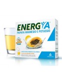 Energya Papaya Fermentata Magnesio e Potassio Body Spring