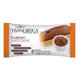 Plum Cake al Cacao Tisanoreica