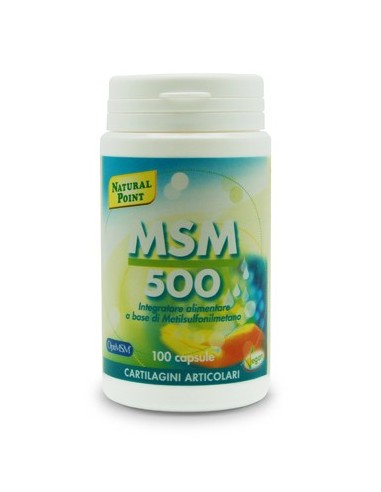 MSM 500 Natural Point - 100 Capsule