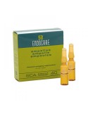 Endocare B - 7 Ampolle