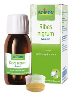 Ribes Nigrum Macerato Glicerinato Boiron - 60 ml