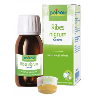 Ribes Nigrum Macerato Glicerinato Boiron - 60 ml