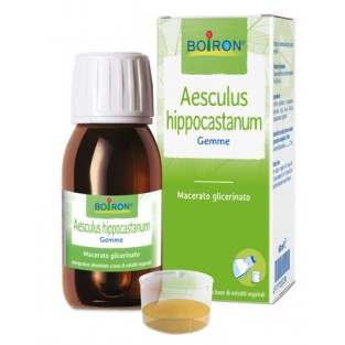 Aesculus Hippocastanum Macerato Glicerinato Boiron - 60 ml