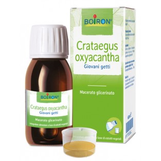 Crataegus Oxyacantha Macerato Glicerinato Boiron - 60 ml