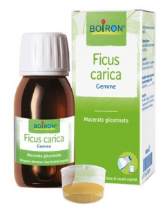Ficus Carica Macerato Glicerinato Boiron - 60 ml