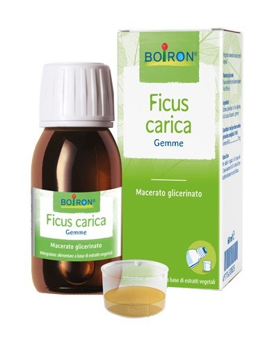 Ficus Carica Macerato Glicerinato Boiron - 60 ml