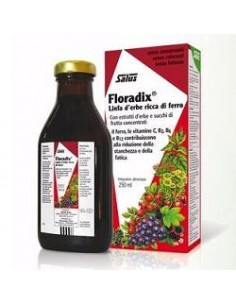Floradix Integratore Ferro - Flacone 250 ml