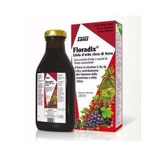 Floradix Integratore Ferro - Flacone 250 ml