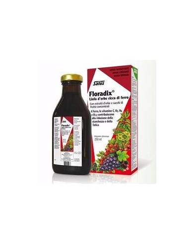 Floradix Integratore Ferro - Flacone 250 ml