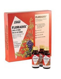 Floradix Integratore Ferro - 10 Monodose