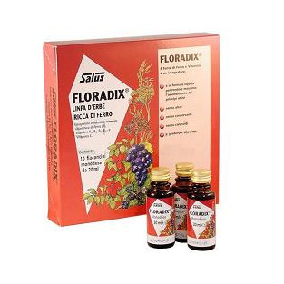 Floradix Integratore Ferro - 10 Monodose