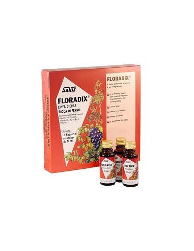 Floradix Integratore Ferro - 10 Monodose