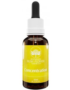Concentration Australian Bush Flower - 30 ml
