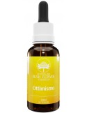 Ottimismo Australian Bush Flower - 30 ml
