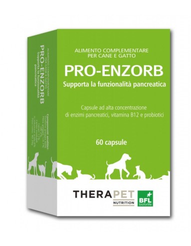 Pro Enzorb Therapet - 60 Capsule