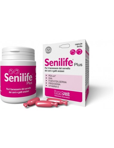 Senilife Plus - 30 Capsule