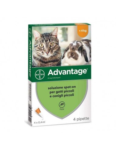 Advantage Bayer Gatti e conigli - 4 pipette