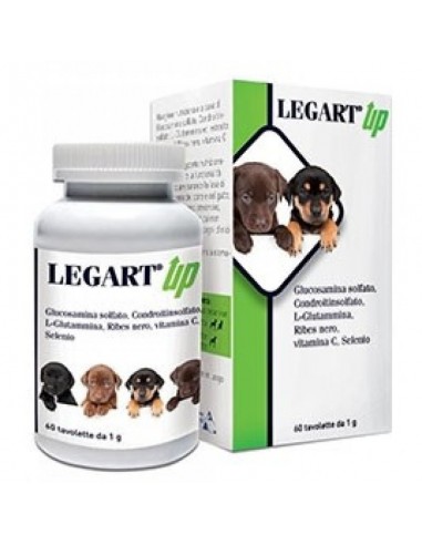 Legart Up - 120 Compresse