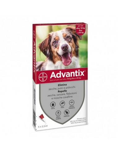 Advantix Spot On per Cani da 10 a 25 kg - 6 Pipette