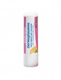 Dermoplasmine Stick Labbra Lenitivo - 4 g