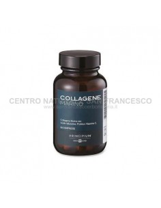 Principium Collagene Marino in 80 compresse