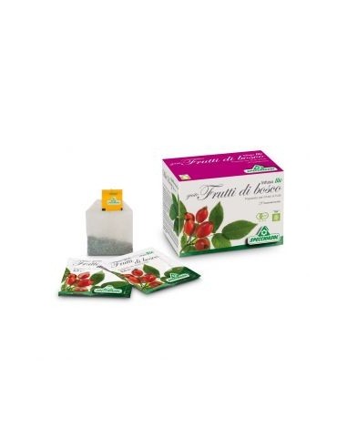 Infuso Bio gusto Frutti di Bosco Specchiasol - 20 filtri