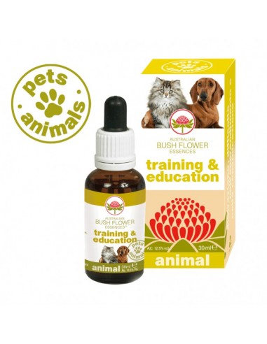 Training & Education Australian Bush Flower Animal - 30 ml